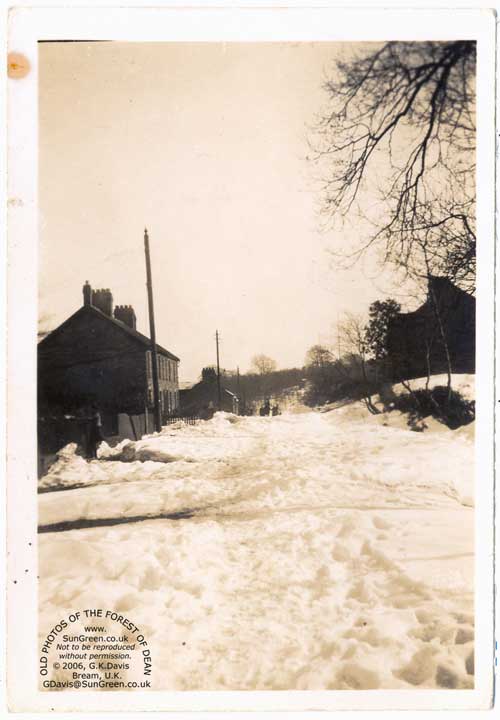 A photo oh houses in Brockhollands in 1947