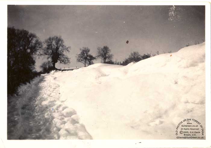 Image: The snow of 1947 at Brockhollands Road, Pastors Hill, Bream (24k)