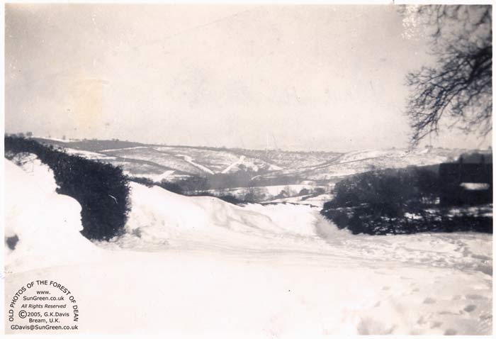Image: The snow of 1947 at Brockhollands Road, Pastors Hill, Bream (31k)