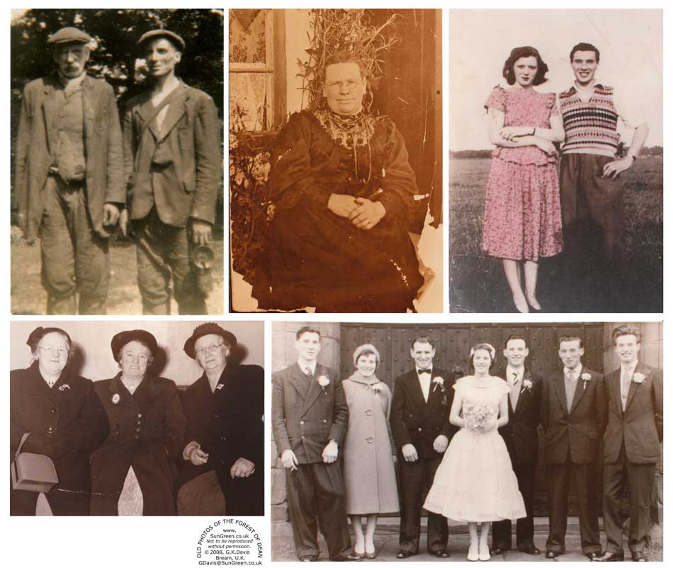 Carpenter family, Bream