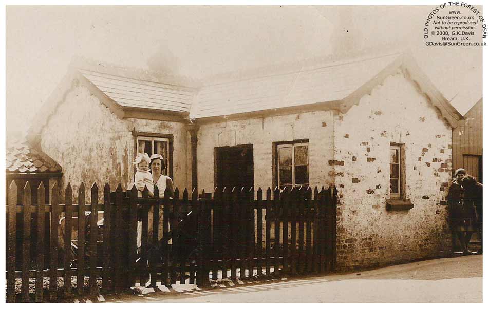 The pike house, Bream