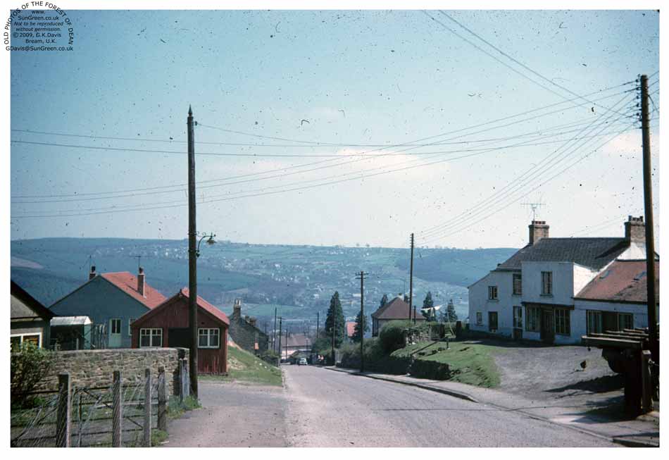 Whitecroft Rd