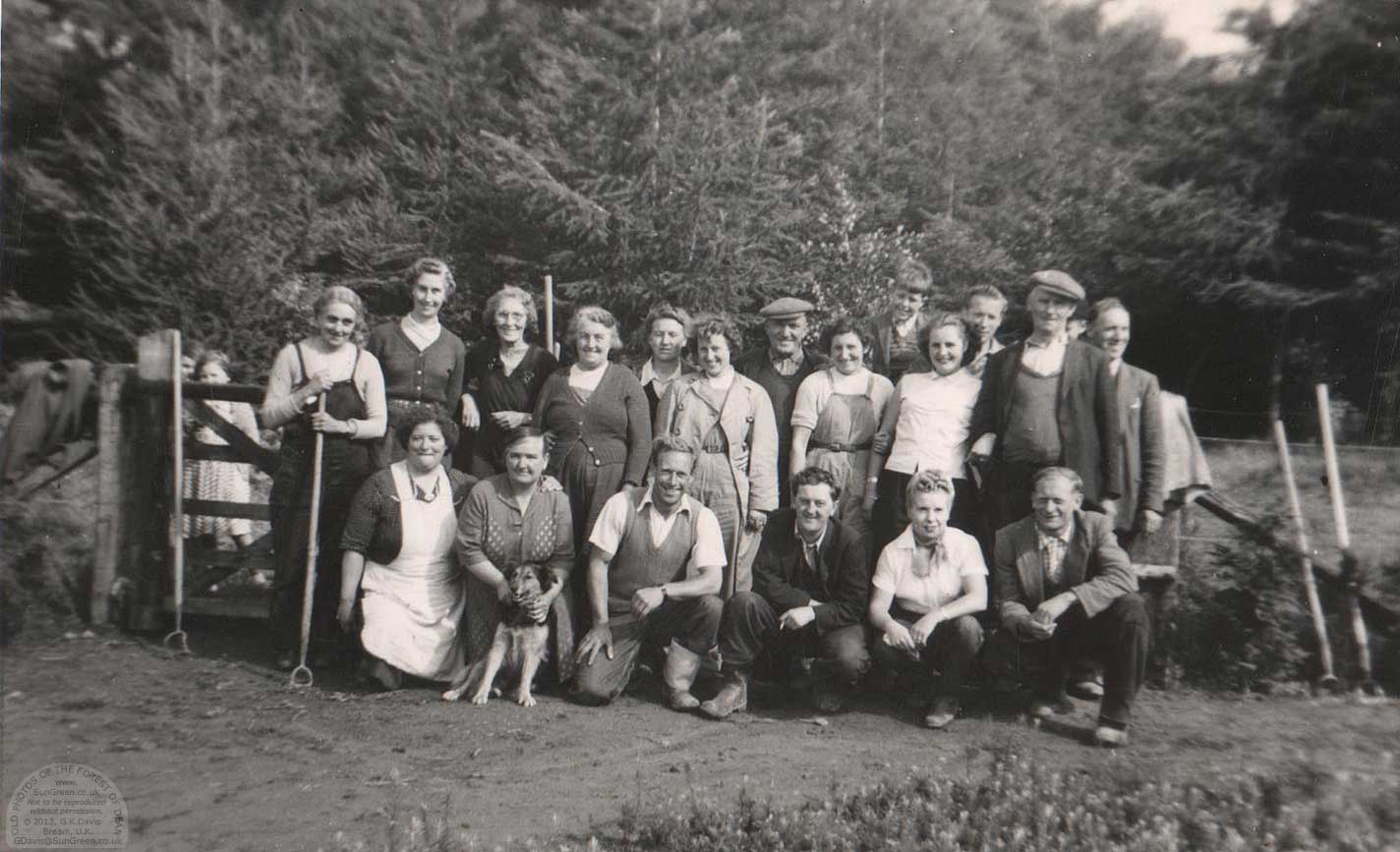 Workers at The Purples nursery