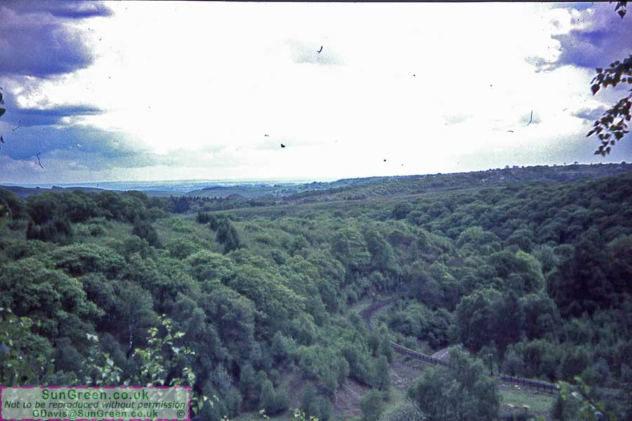 A photo of Point Quarry with woodland beyond.