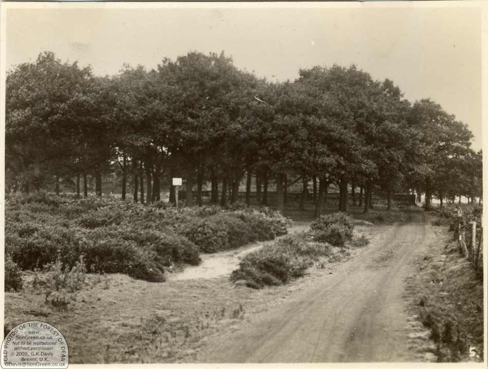 Heywood, Cinderford