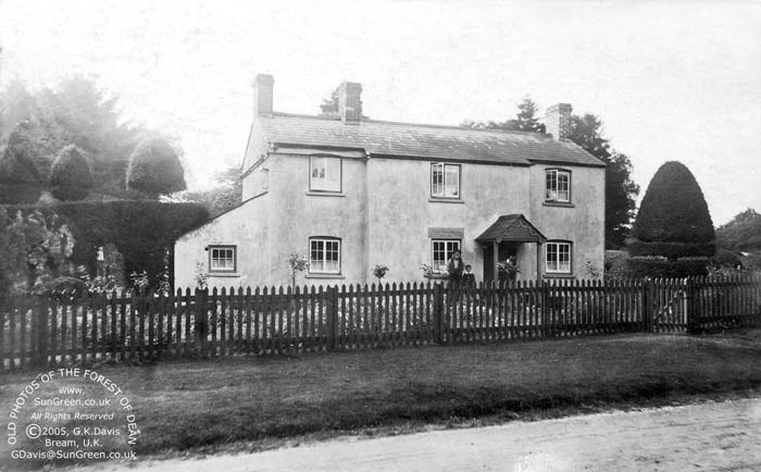 Yew Tree Brake