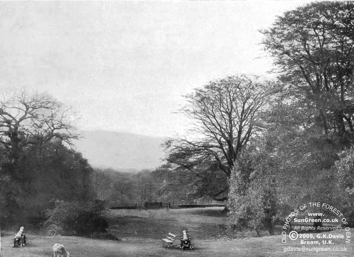 View from Speech House pre 1924 (46k)