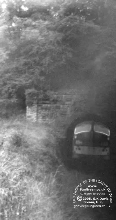 Whitcliff Tunnel (38k)
