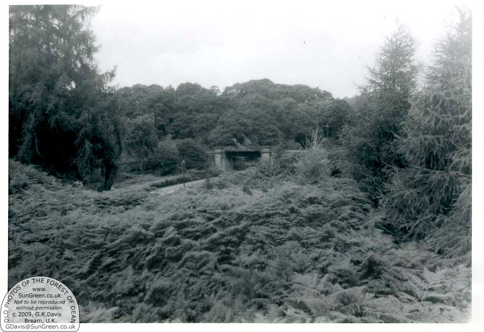 Fetter Hill Rail Bridge