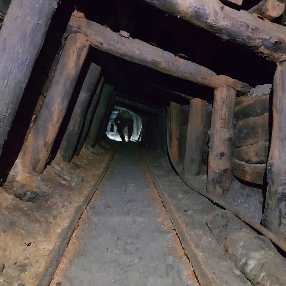 A photo taken inside a freemie in the Forest of Dean