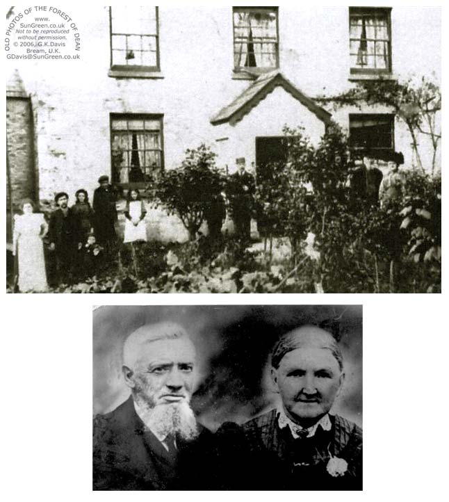 Bush at Hawsley