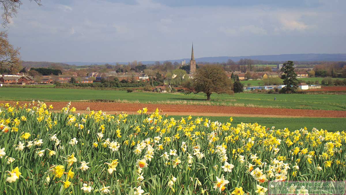 Lydney as seen from Lydney park estate