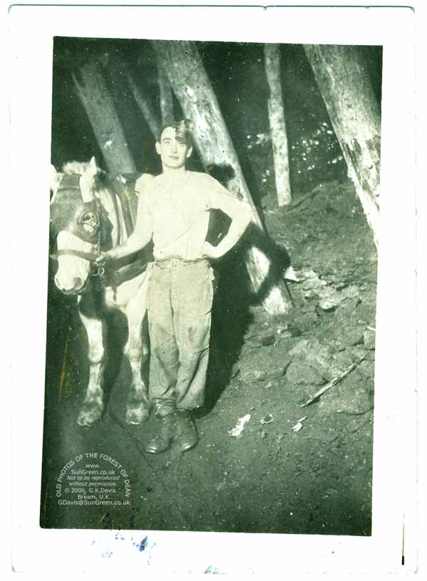 t pony below ground, probably at Cannop. (44k)