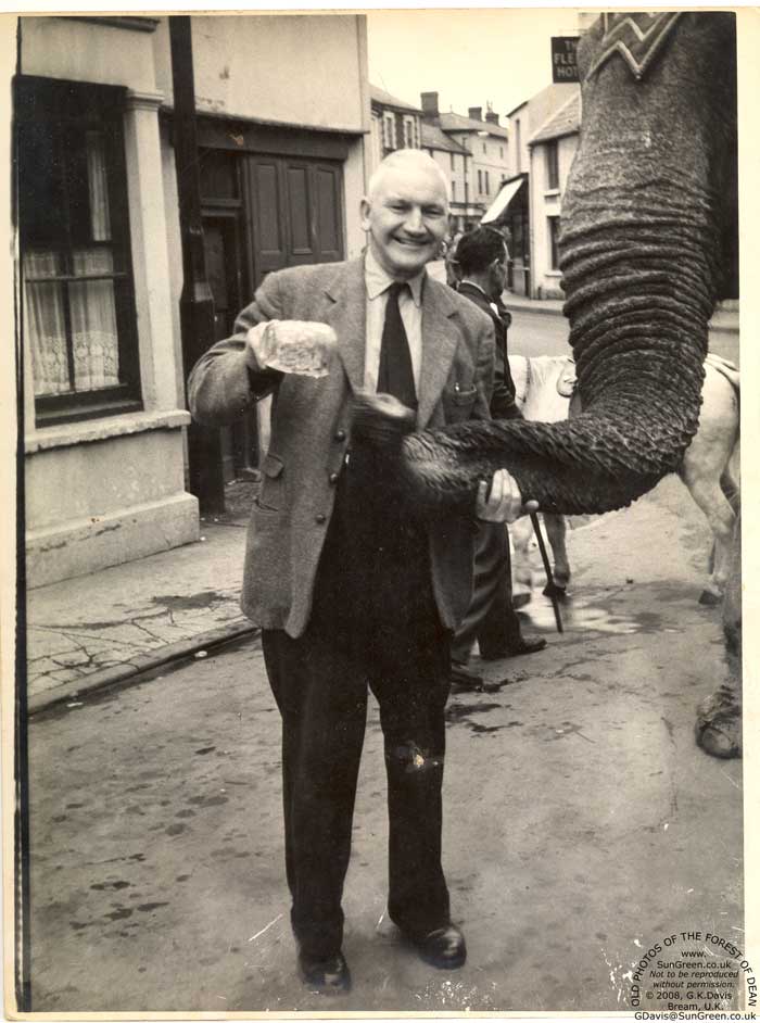 Elephant at the Bridge Inn