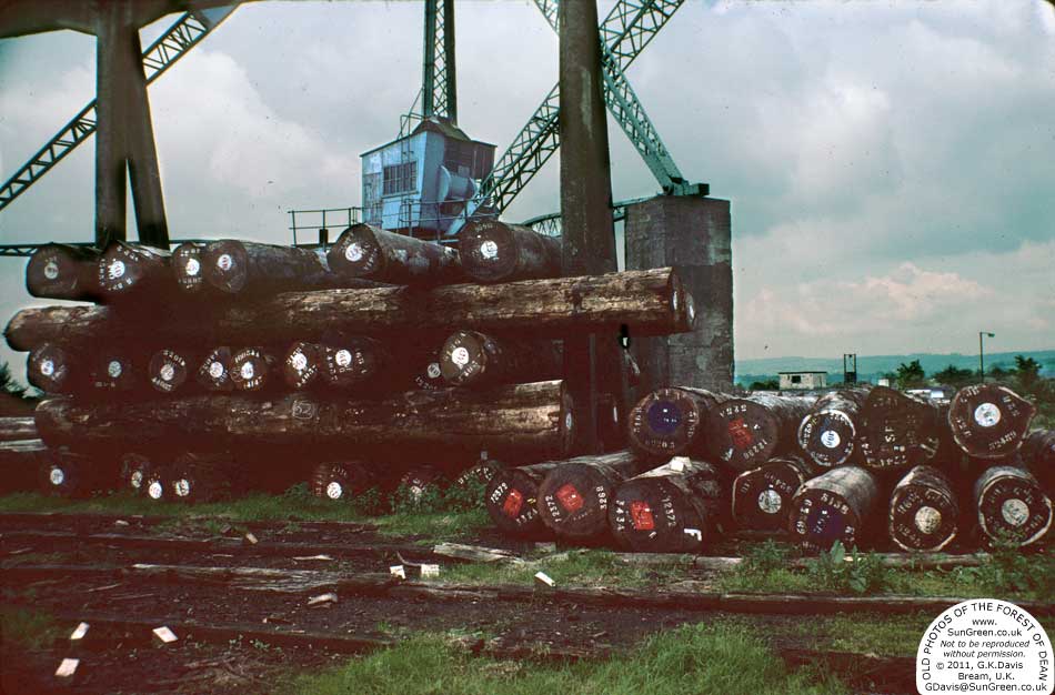 Gantry crane