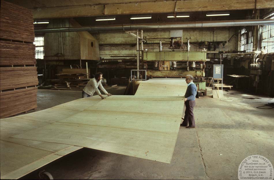 Pine End Sheet