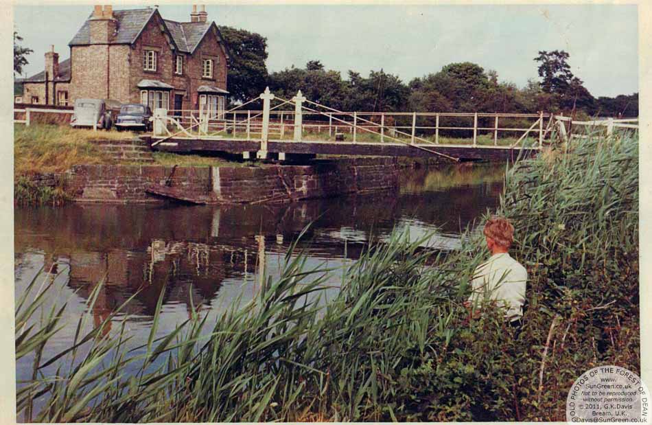 Popper Thorne