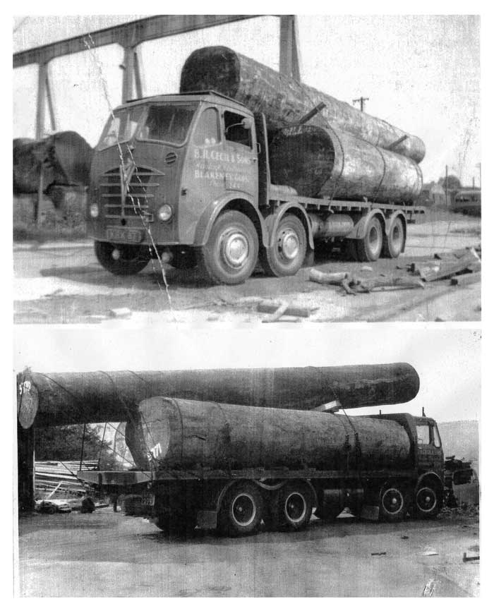 Pine End