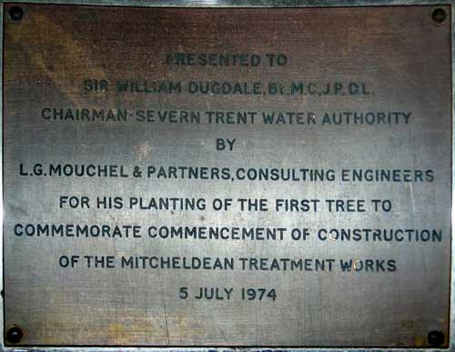 Presentation Plate