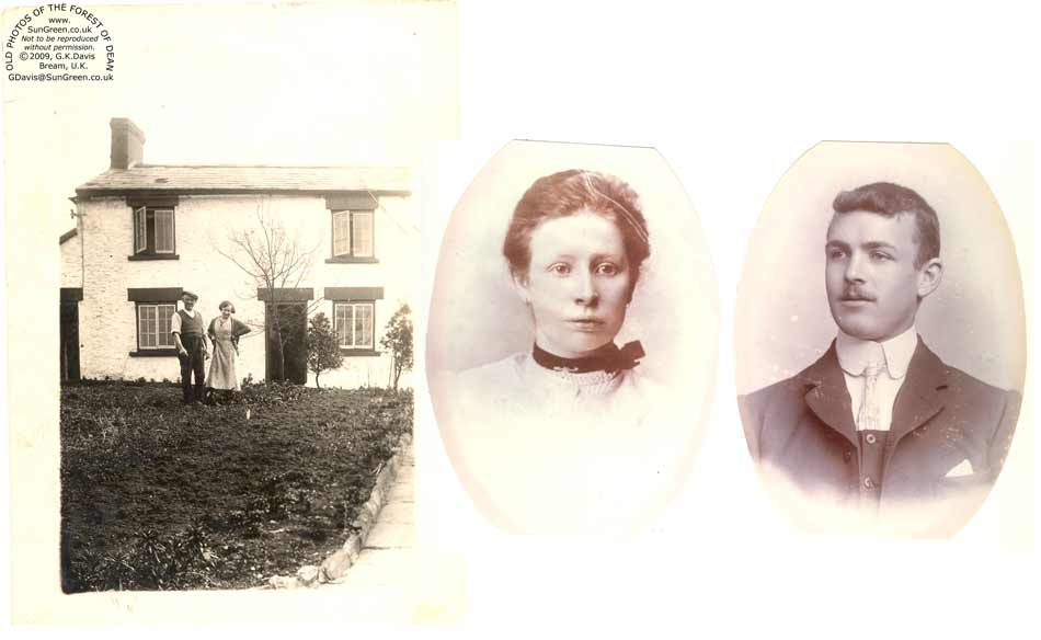 White House Pillowell