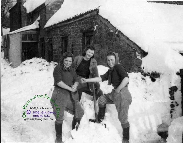 Bream Court Farm 1947 (36k)