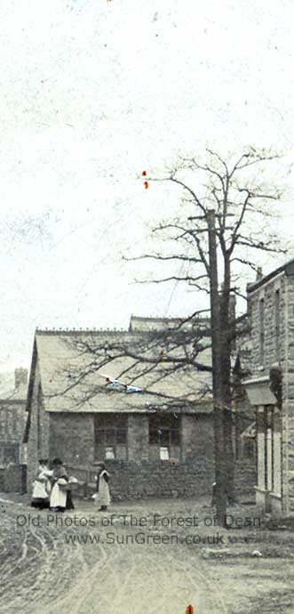Image : The Old Hard-Up Tree (43k)