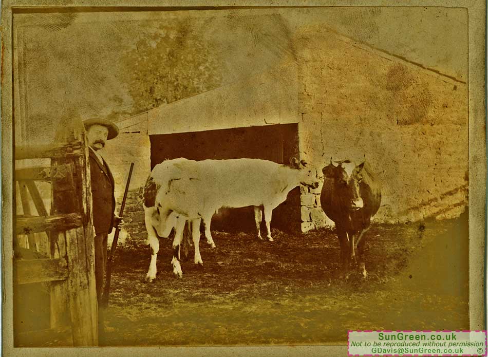 An old photo of Mr Harry Yarworth at Bream Cross Farm.