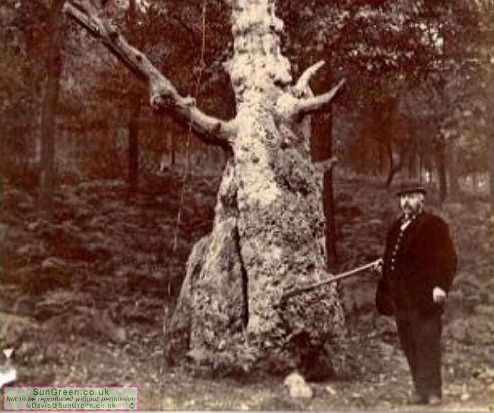 A photo of John Howells at Serridge Lodge