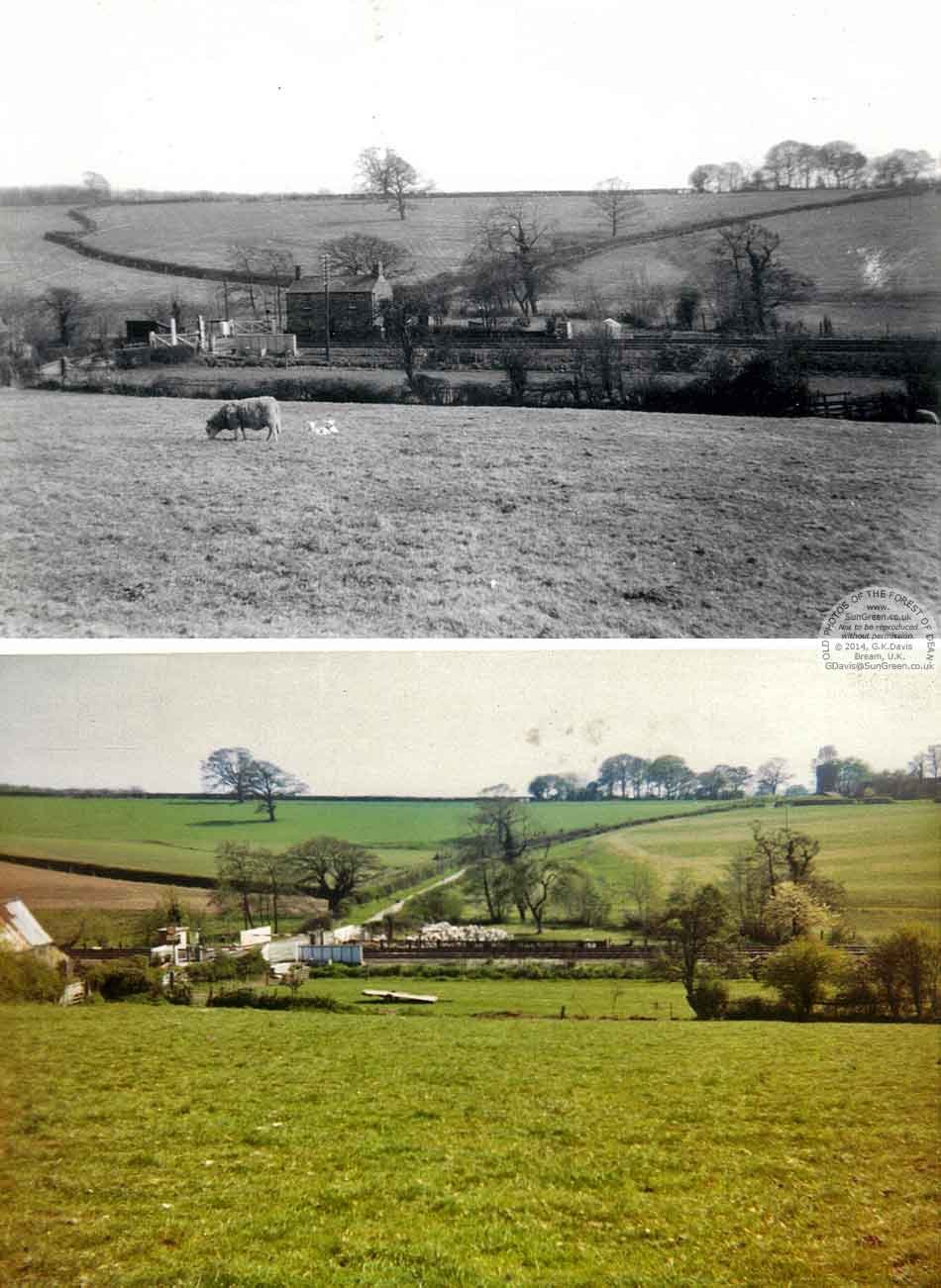 Two photos of Naas Lane cottage and crossing